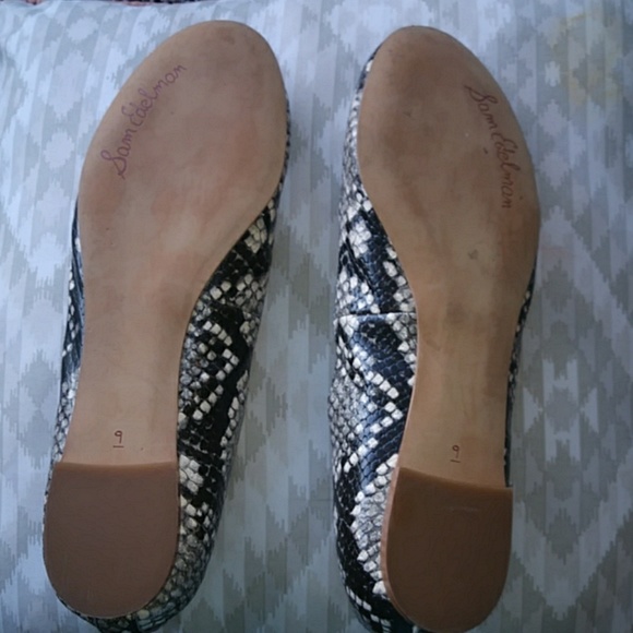 Sam Edelman Augusta Scalloped Snake, Ballet Flats. - Picture 2 of 3